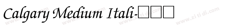 Calgary Medium Itali字体转换